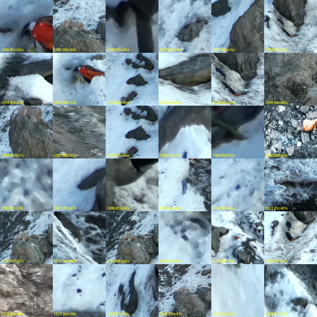 montage_08.jpg