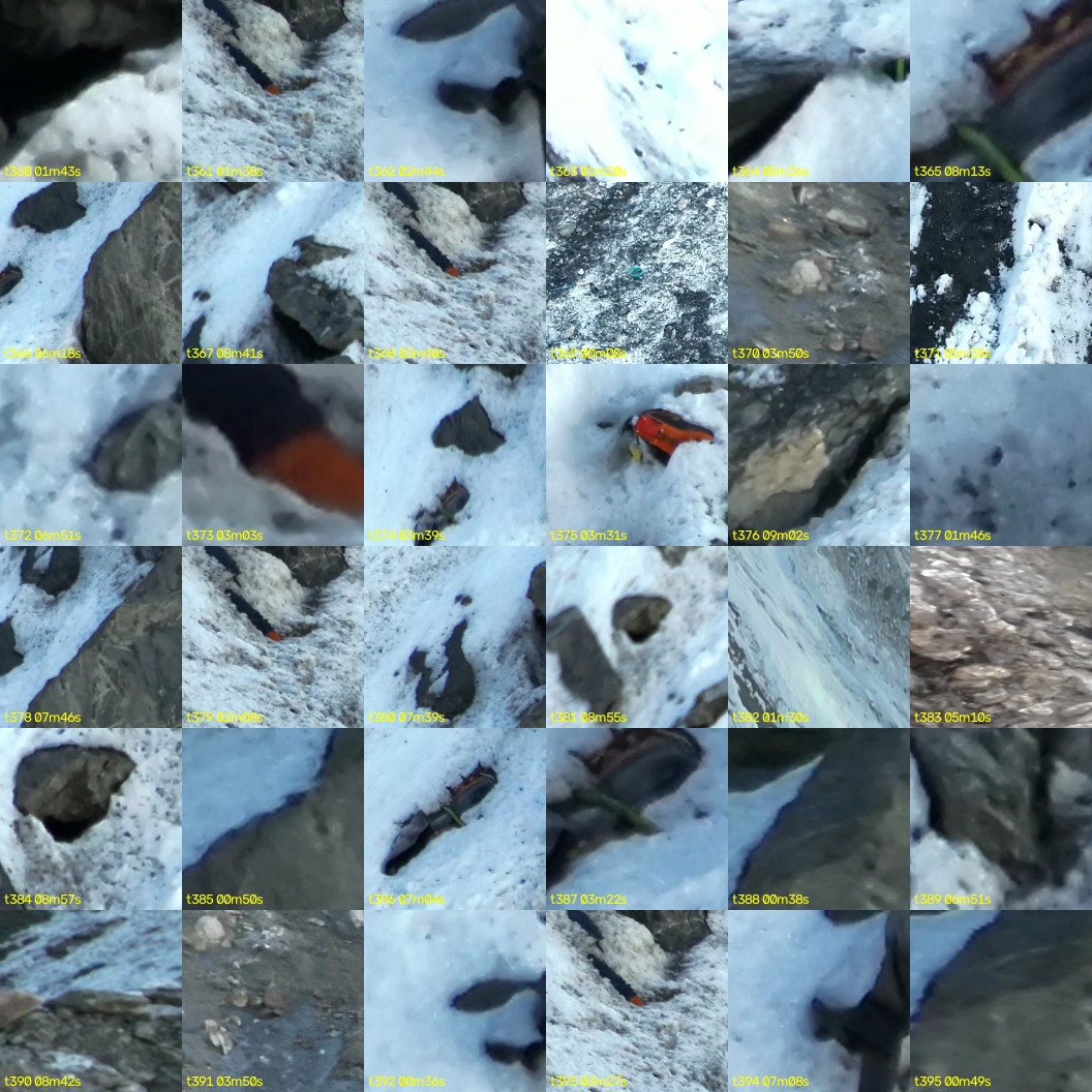 montage_10.jpg