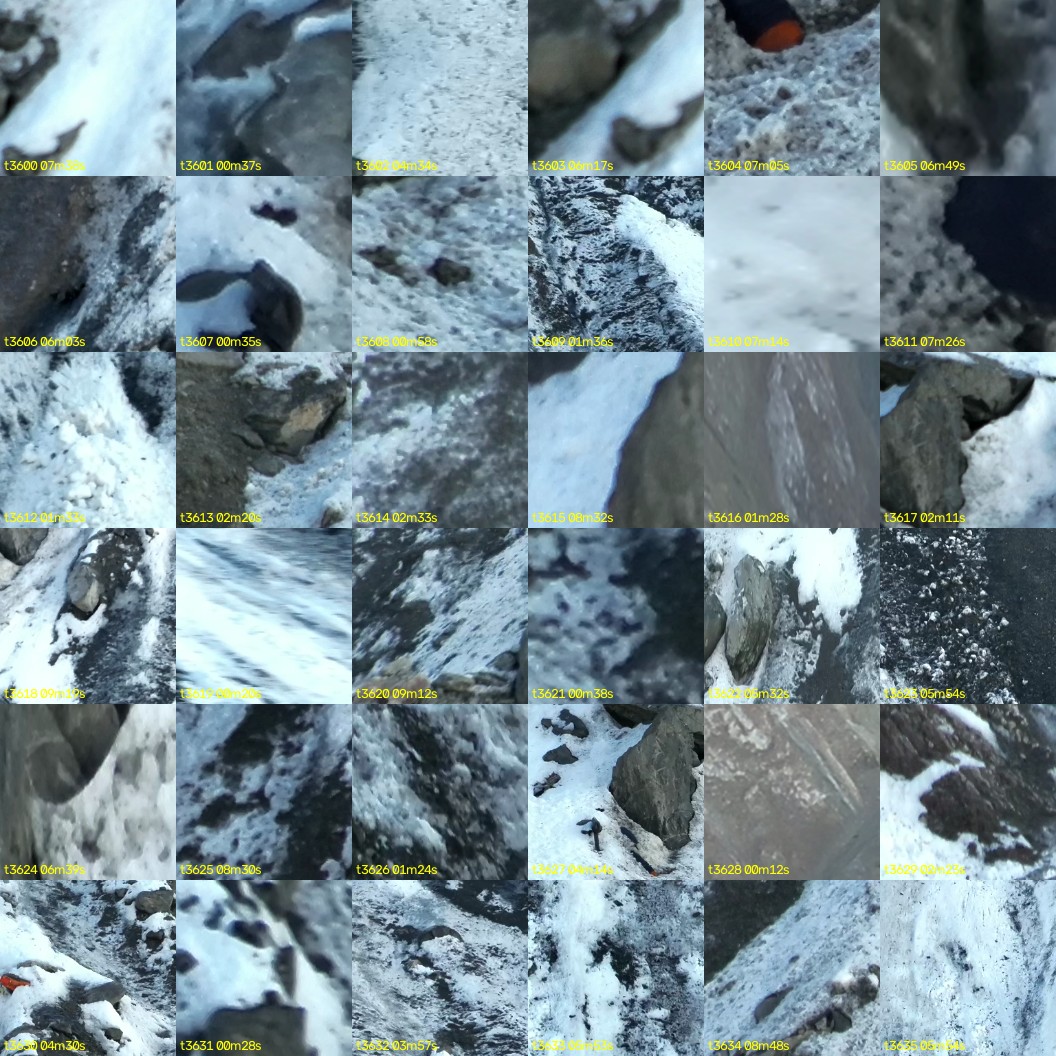 montage_100.jpg