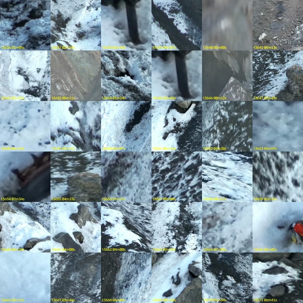 montage_101.jpg