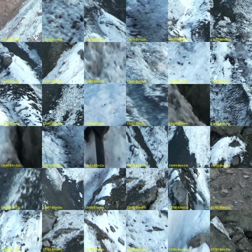 montage_102.jpg