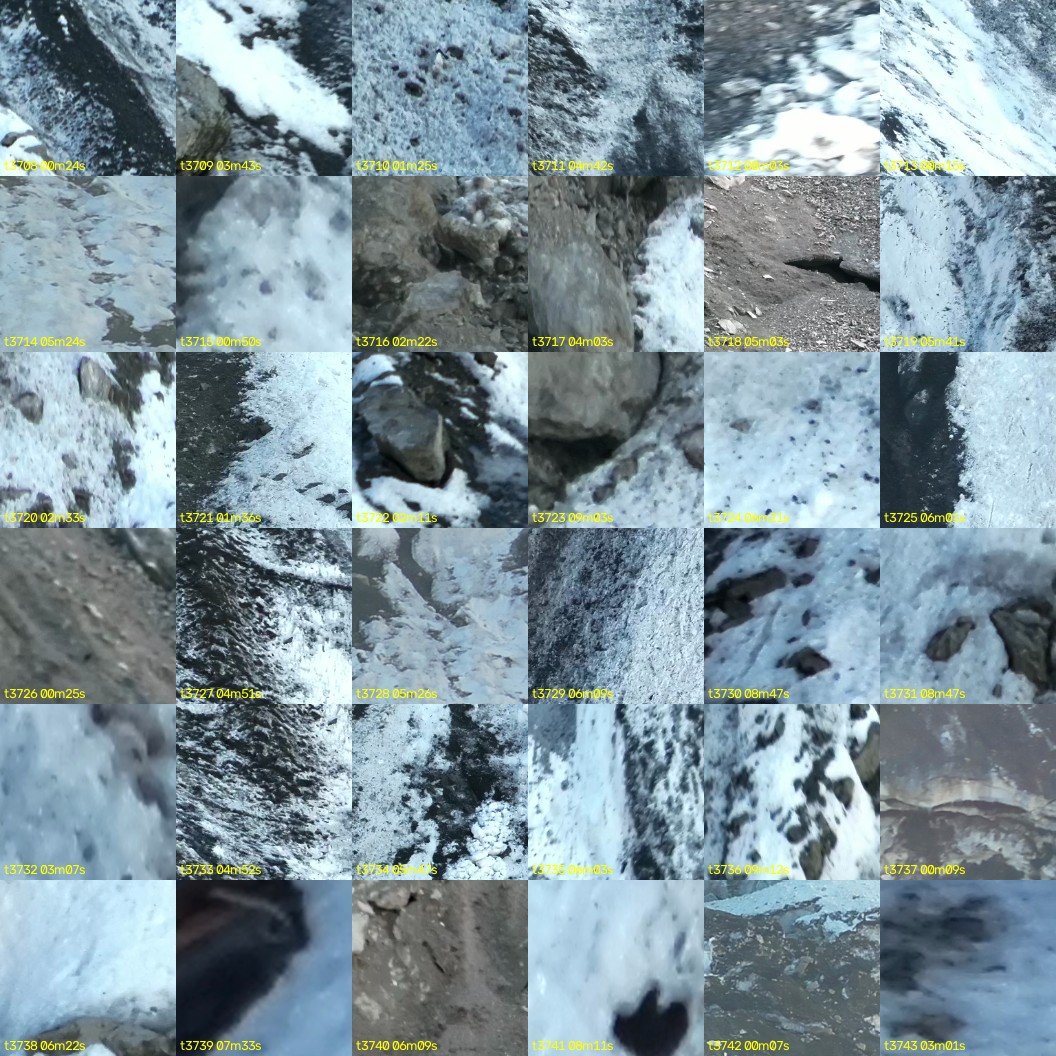 montage_103.jpg
