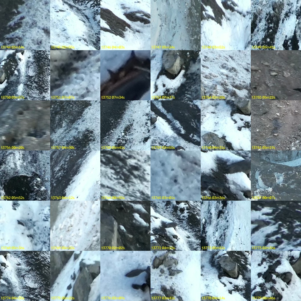 montage_104.jpg