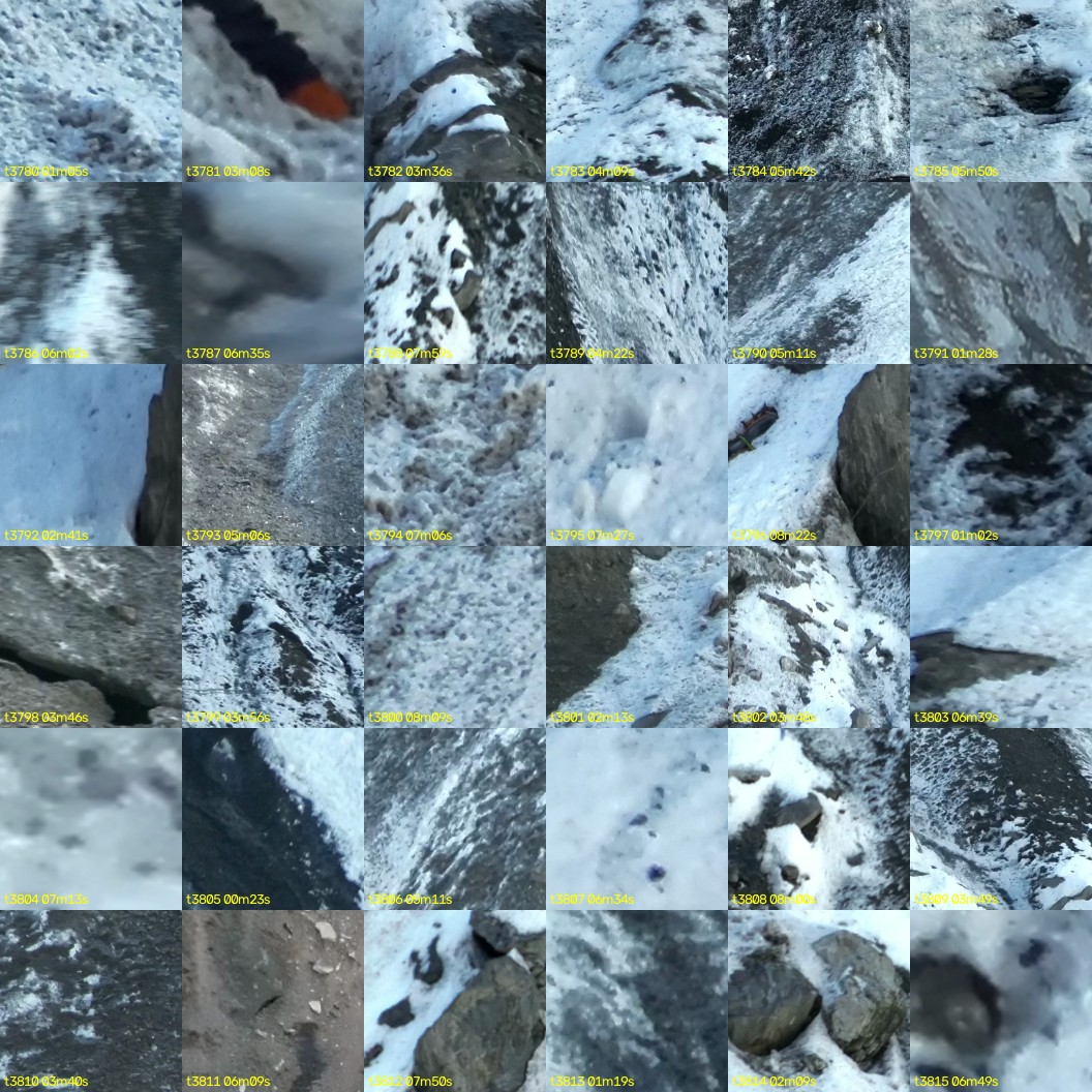 montage_105.jpg