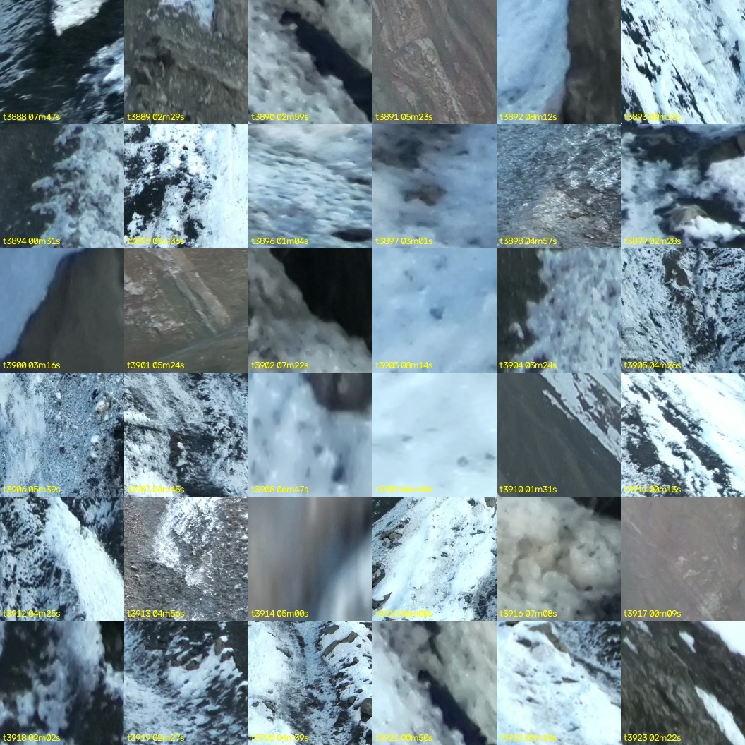 montage_108.jpg