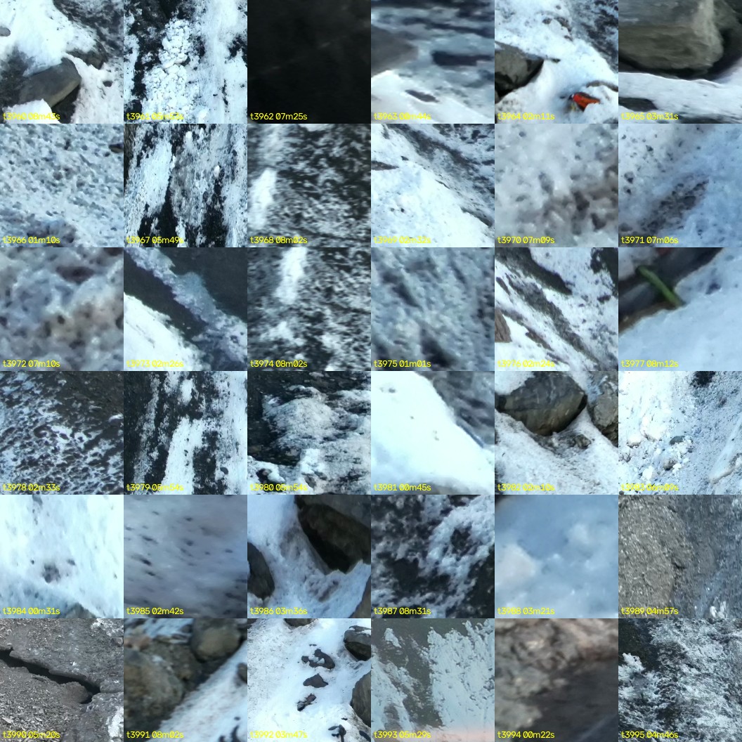 montage_110.jpg