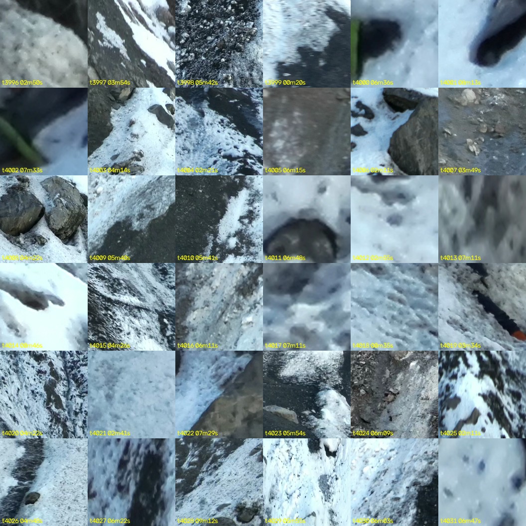 montage_111.jpg