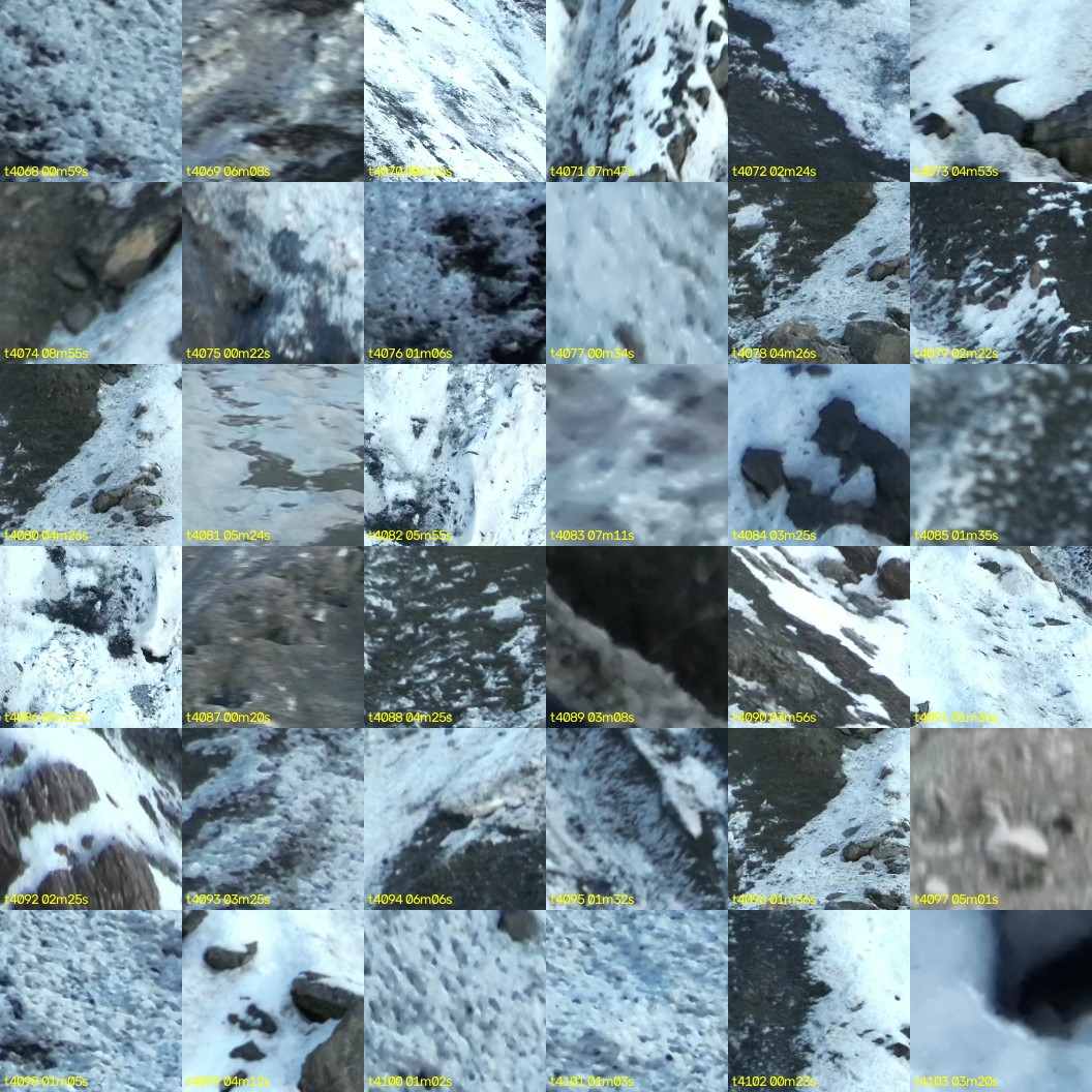 montage_113.jpg