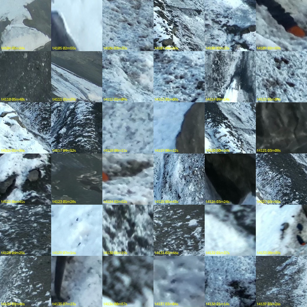 montage_114.jpg