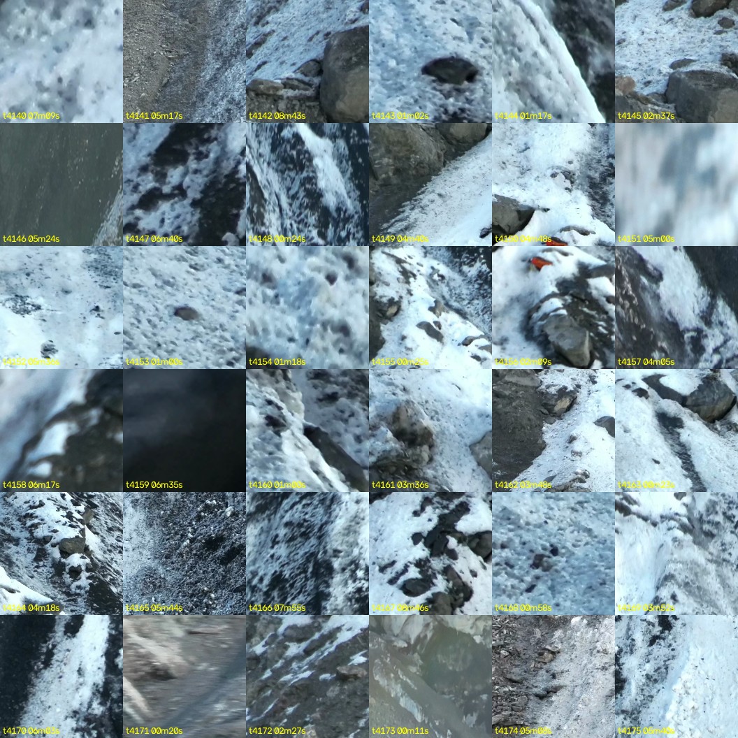 montage_115.jpg