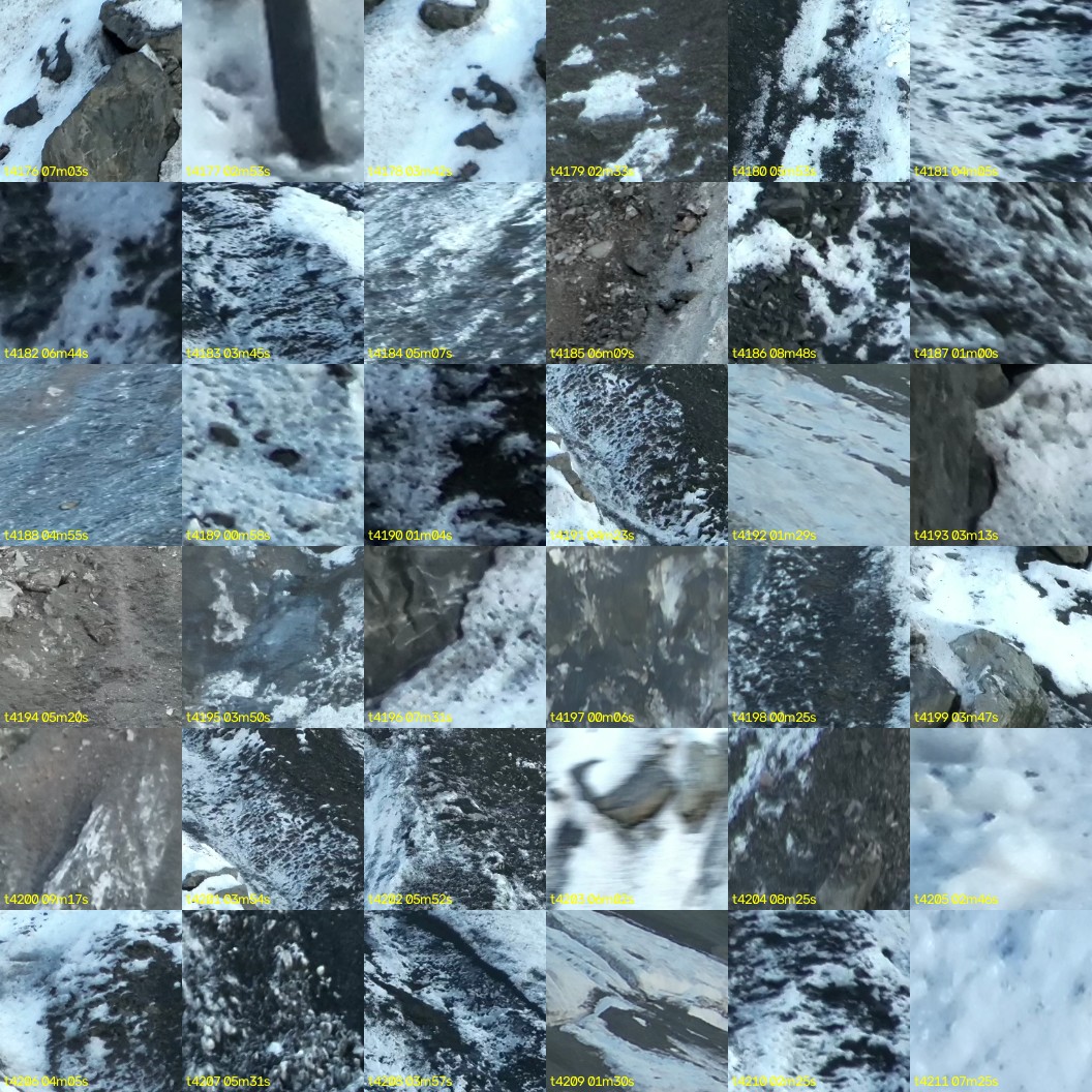 montage_116.jpg