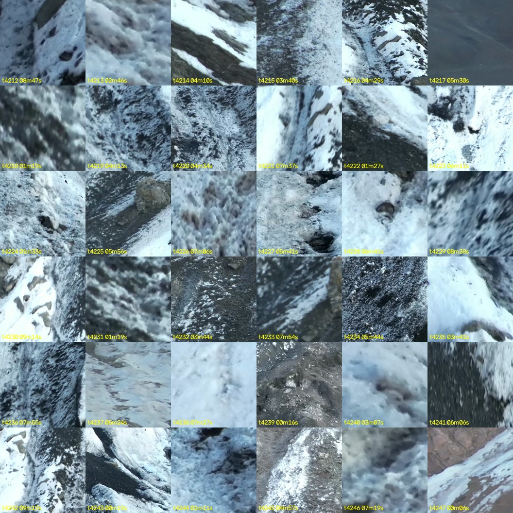 montage_117.jpg