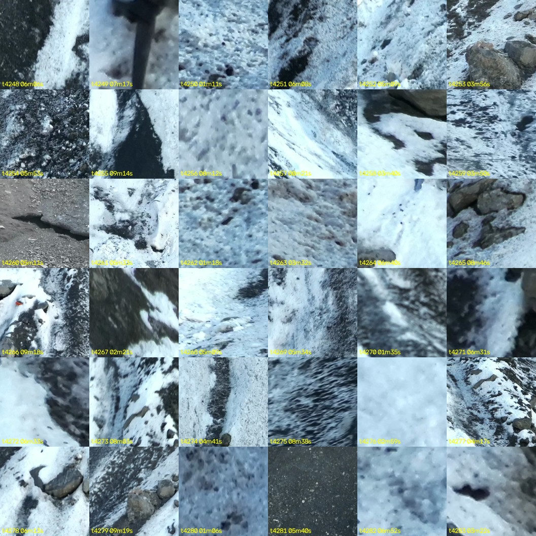montage_118.jpg