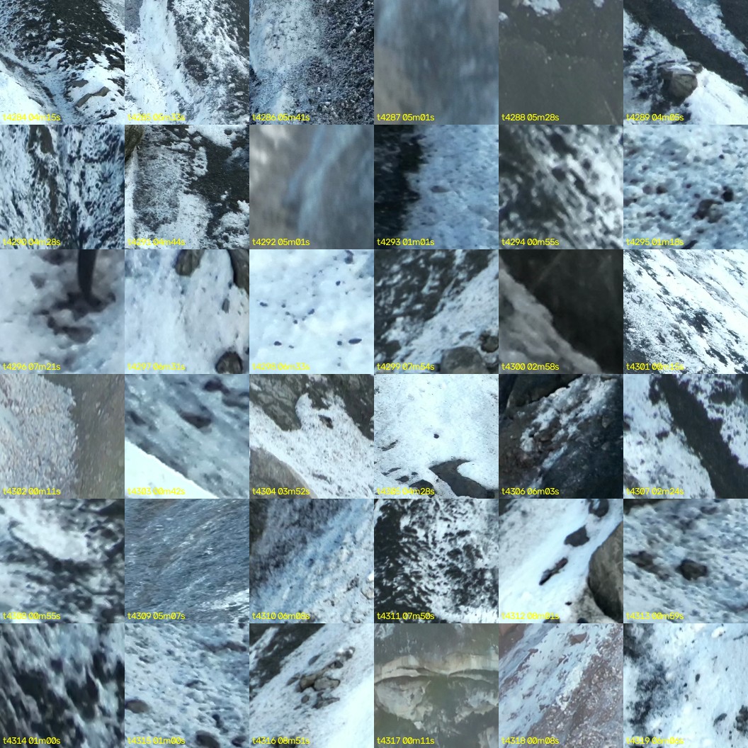montage_119.jpg