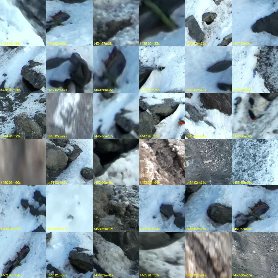 montage_12.jpg