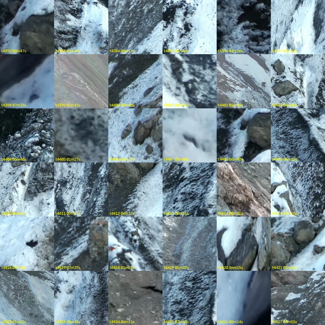 montage_122.jpg