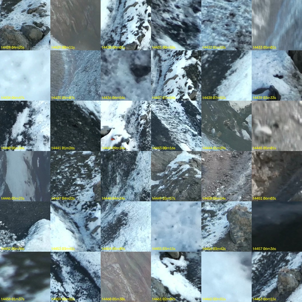 montage_123.jpg