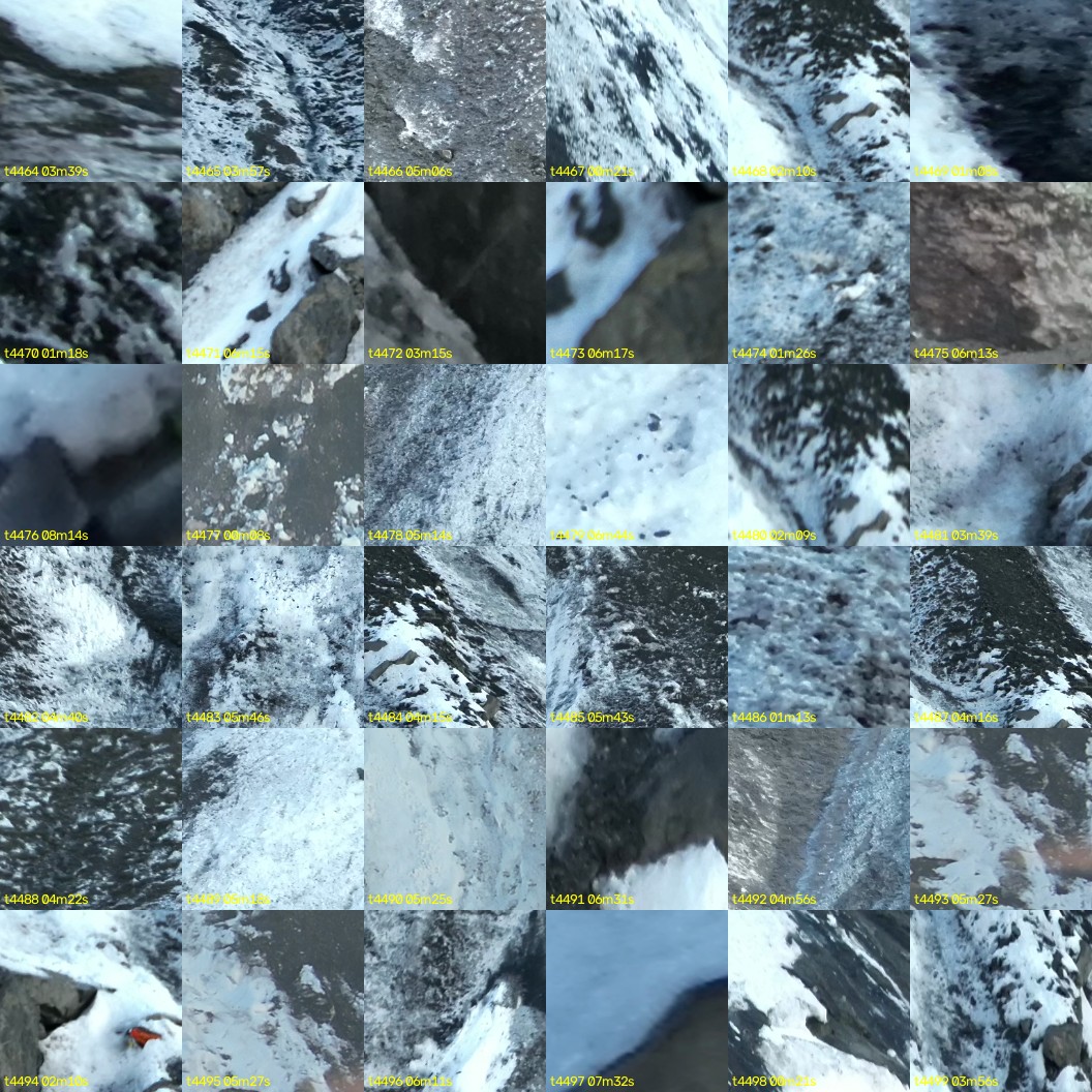 montage_124.jpg