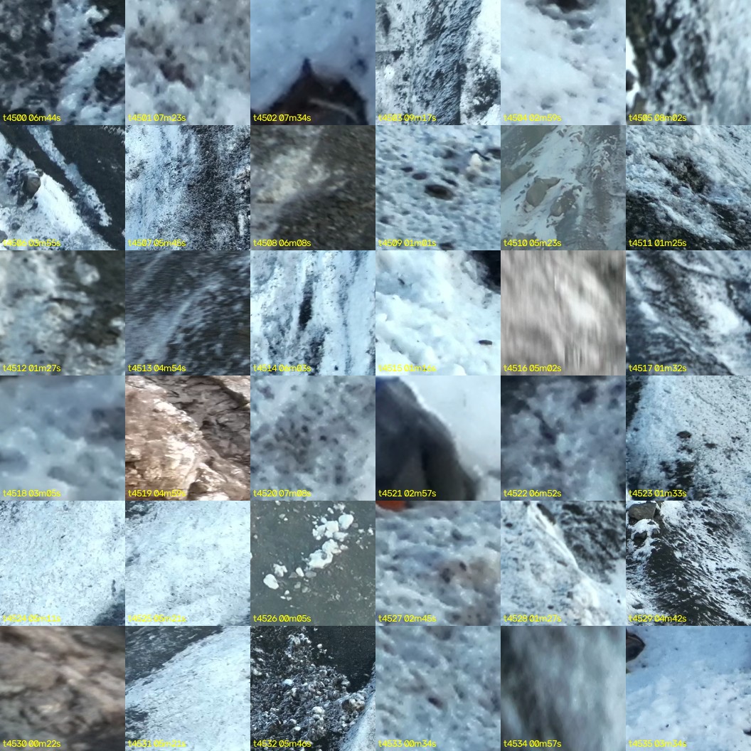 montage_125.jpg