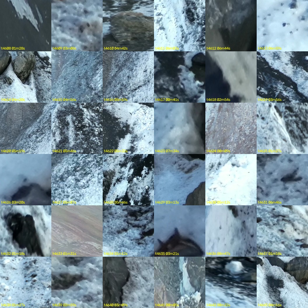 montage_128.jpg