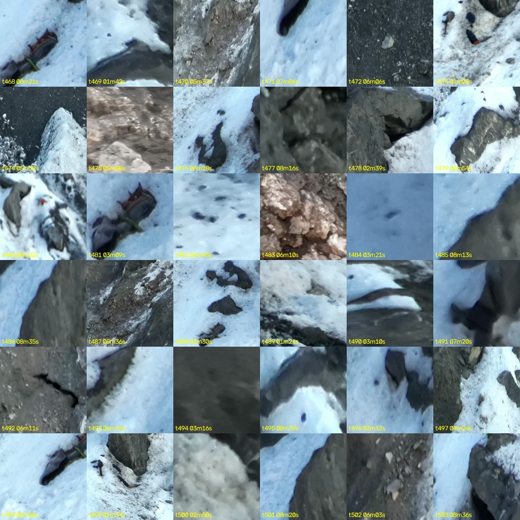 montage_13.jpg