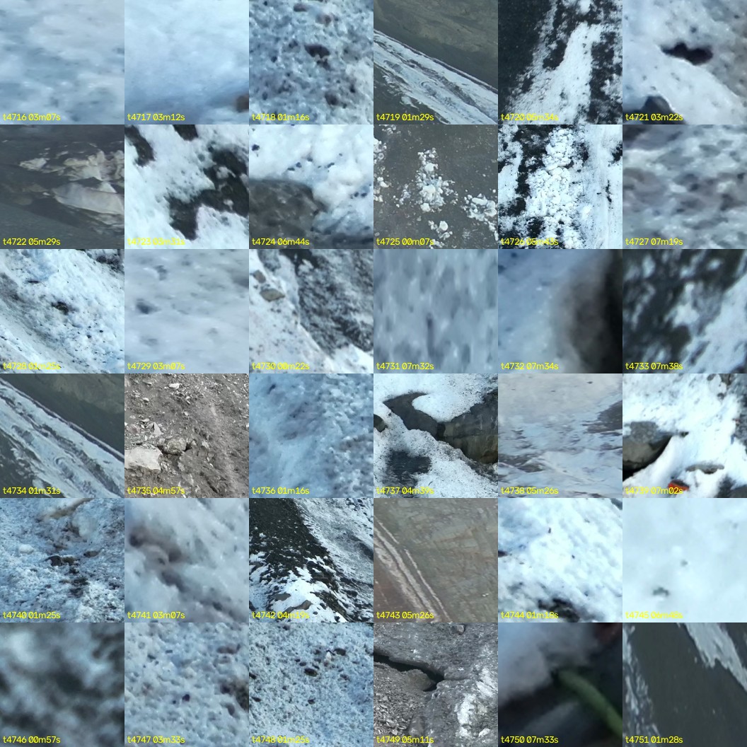 montage_131.jpg