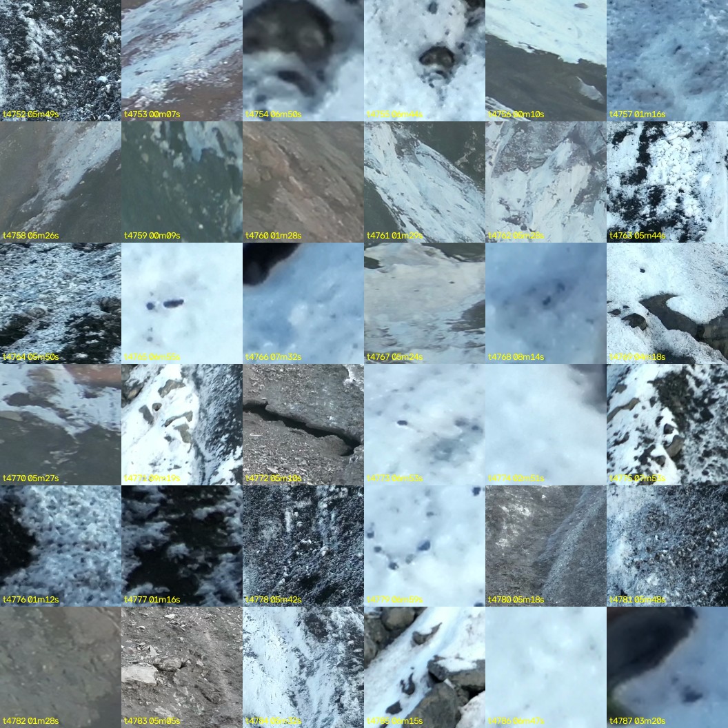 montage_132.jpg
