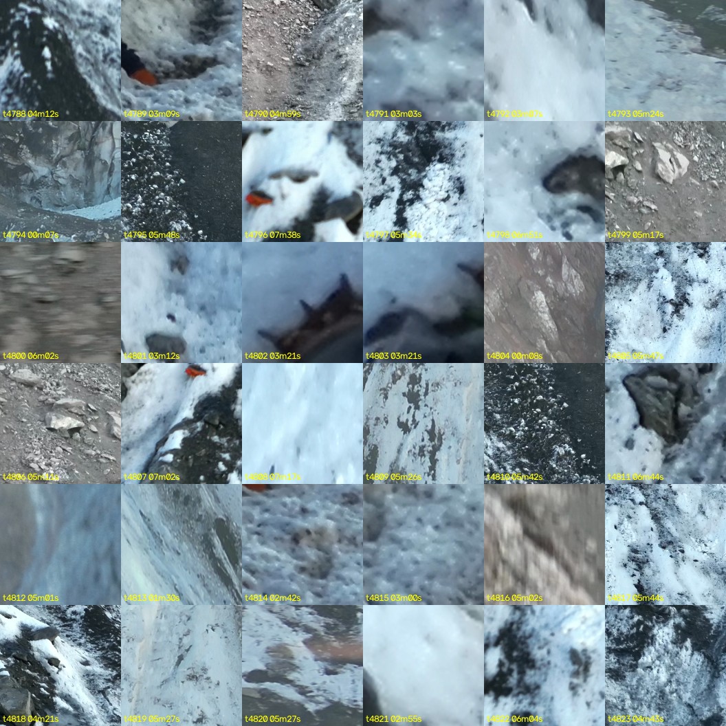 montage_133.jpg