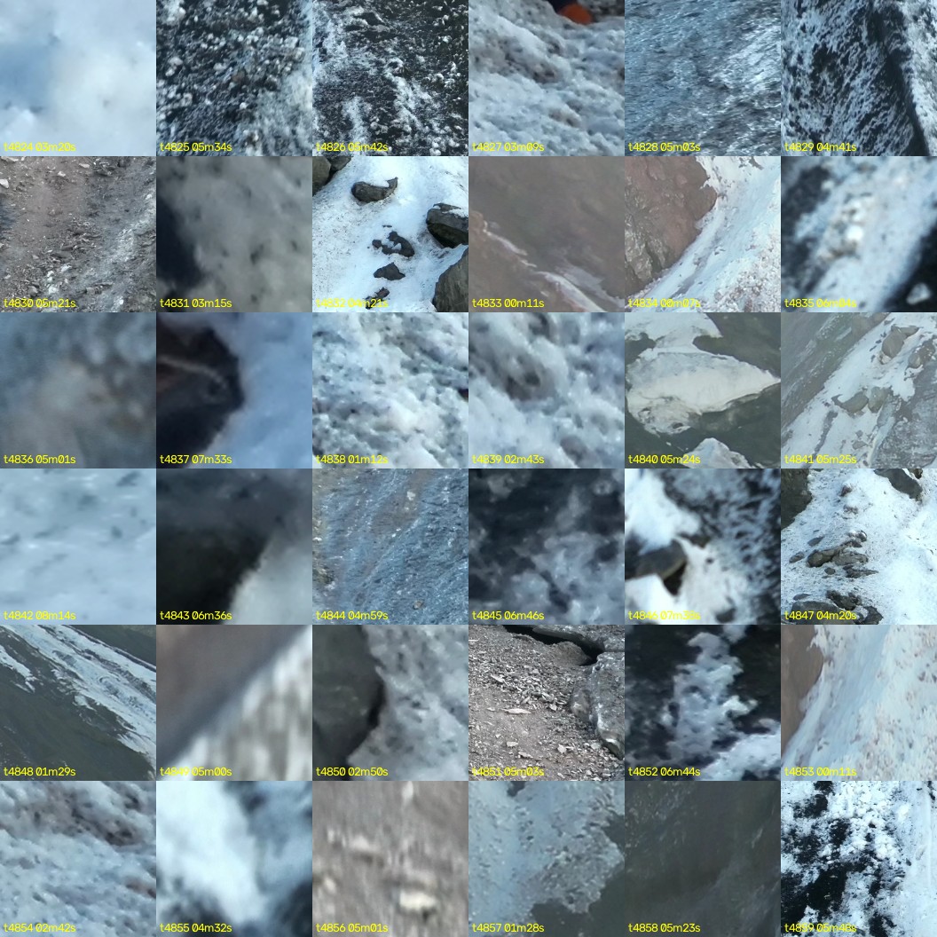 montage_134.jpg