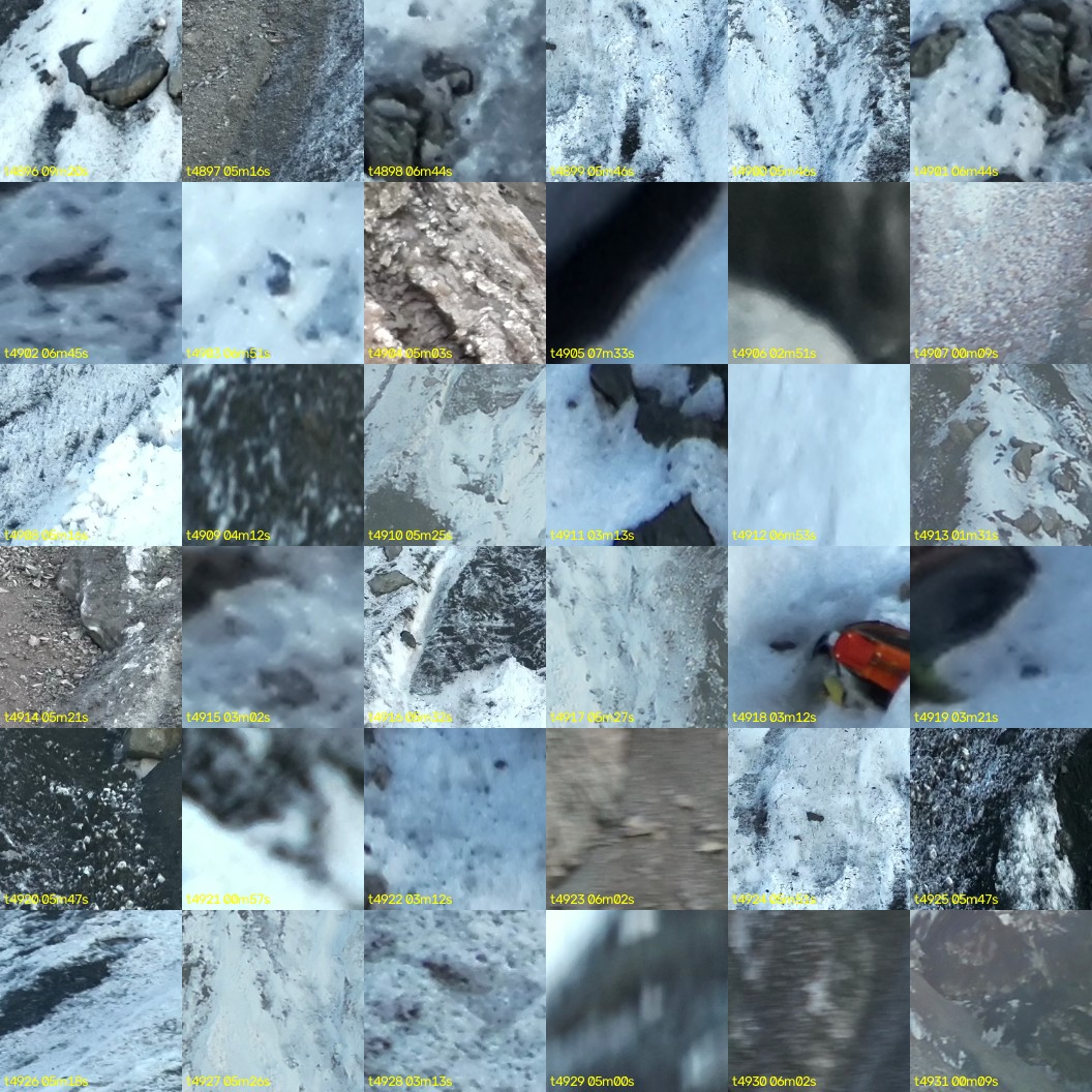 montage_136.jpg