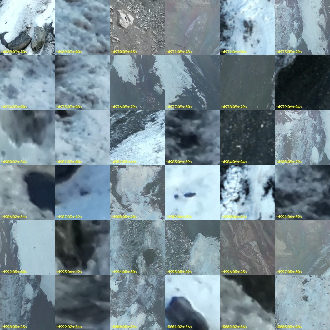 montage_138.jpg