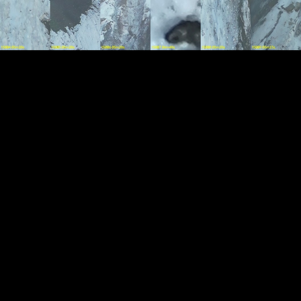 montage_139.jpg