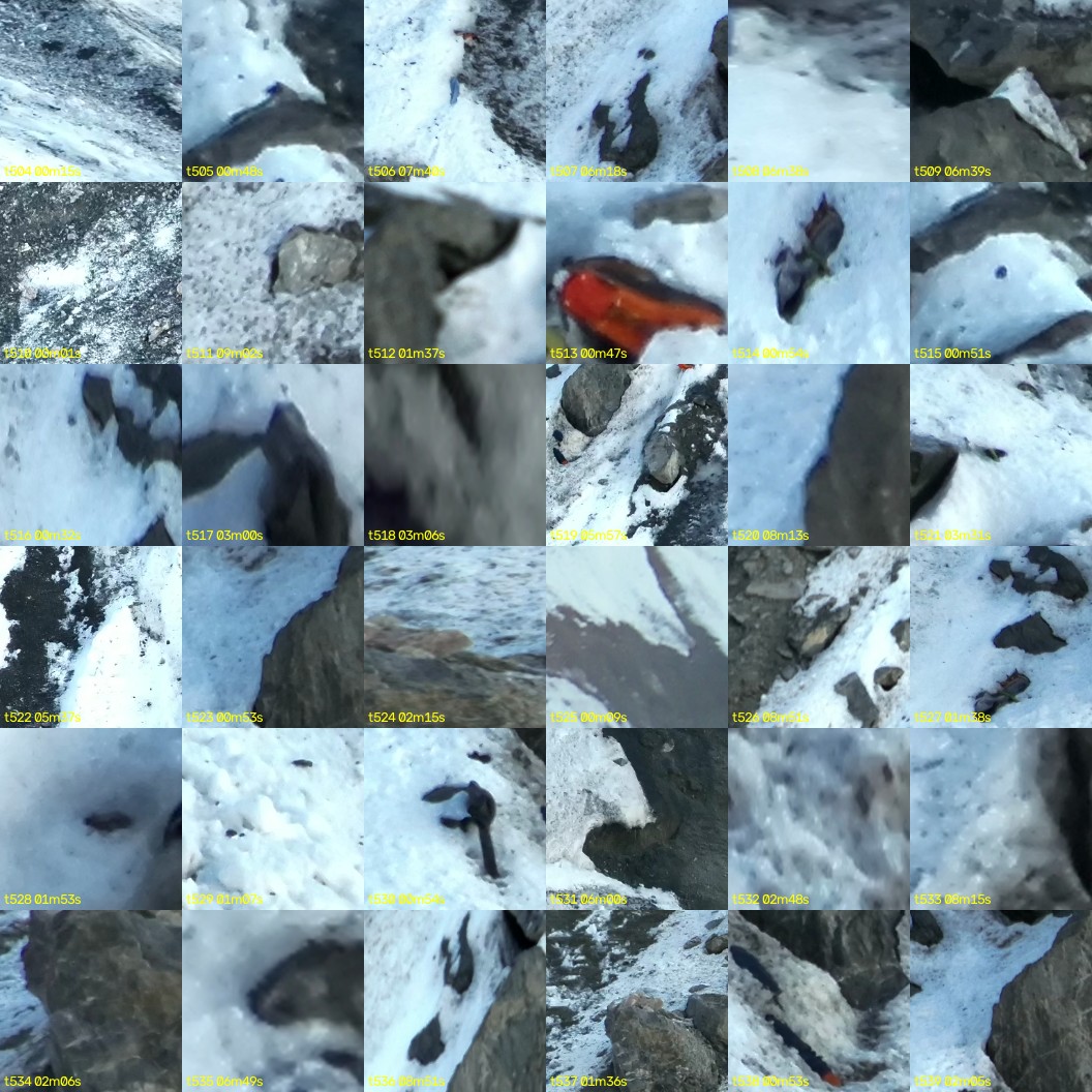 montage_14.jpg