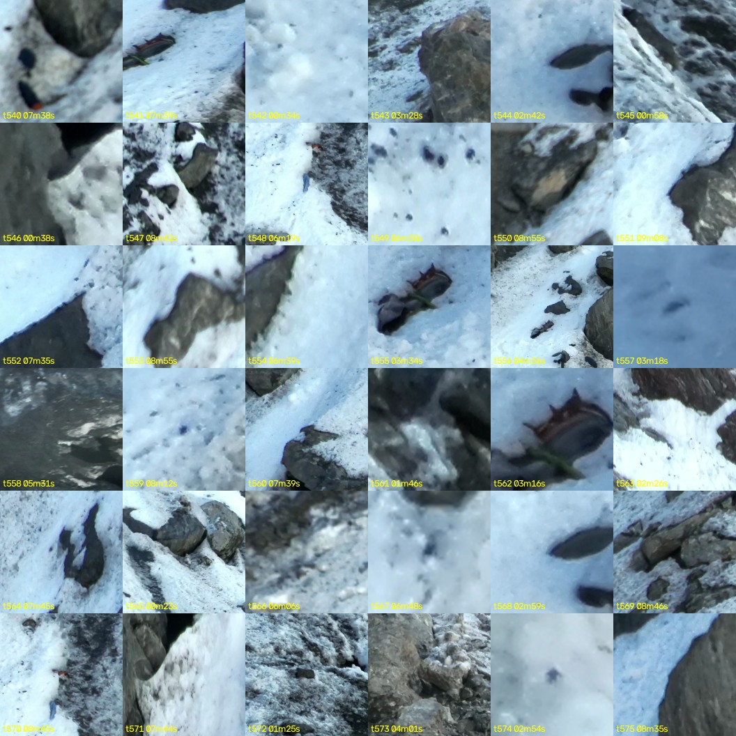 montage_15.jpg