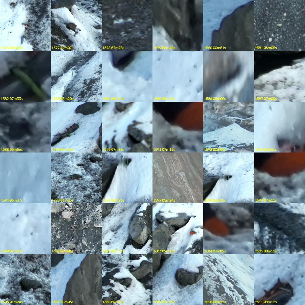 montage_16.jpg