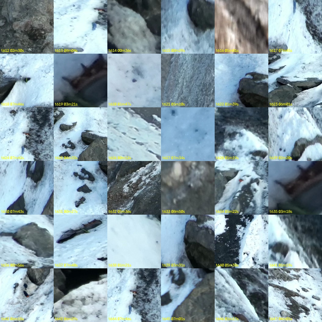 montage_17.jpg