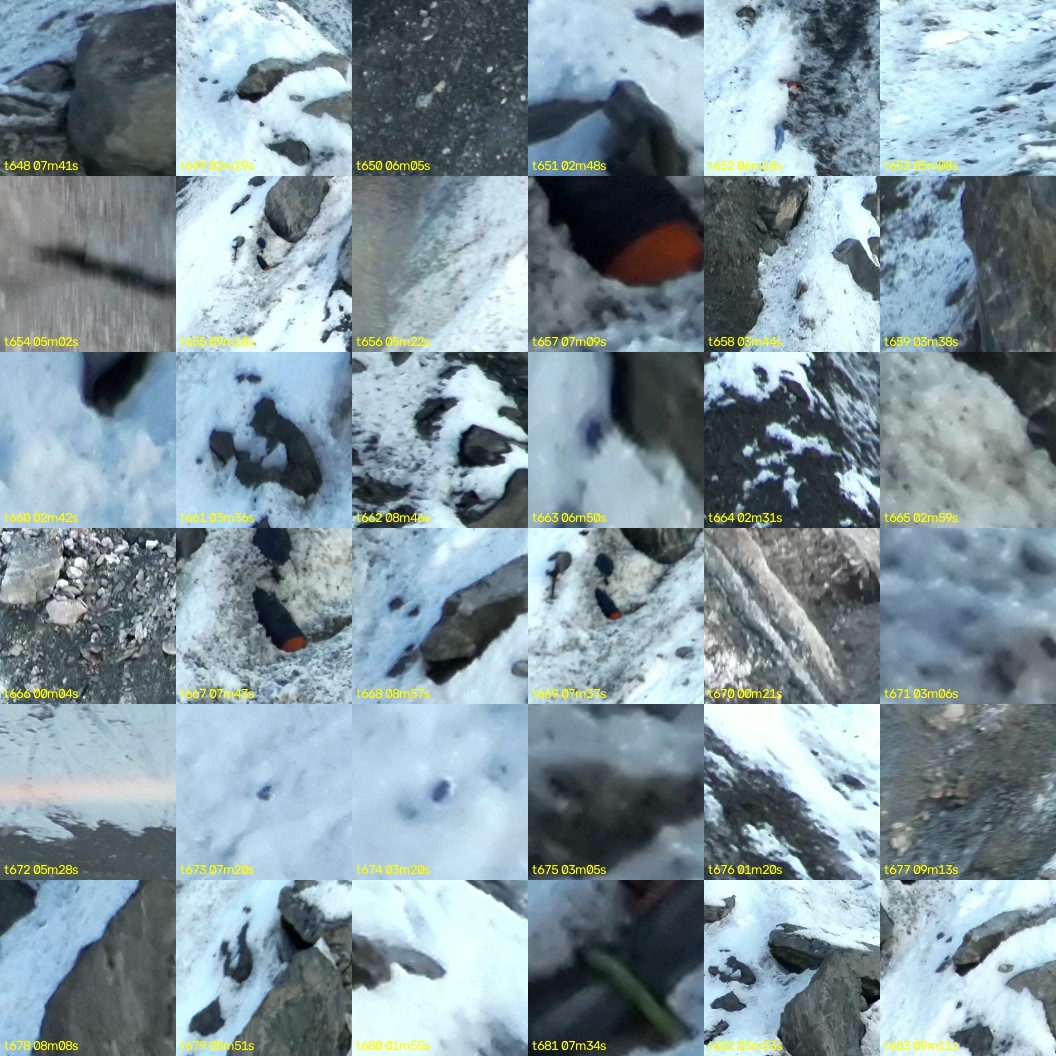 montage_18.jpg