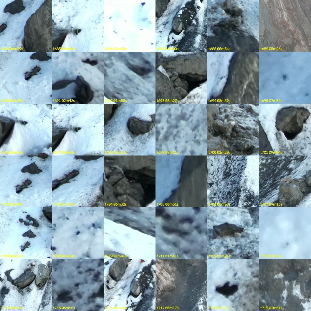 montage_19.jpg