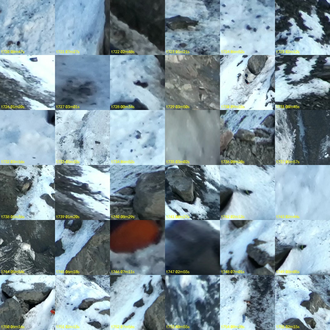 montage_20.jpg