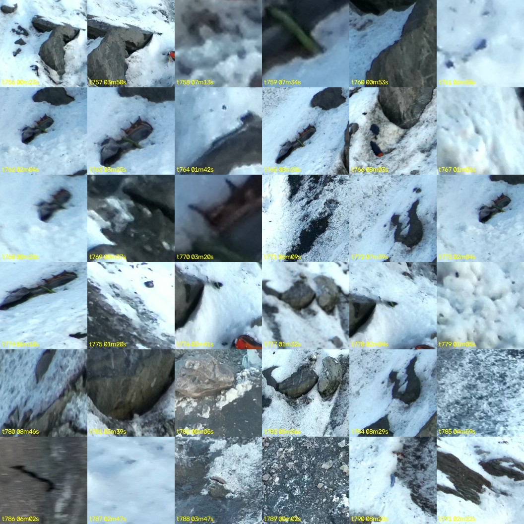 montage_21.jpg