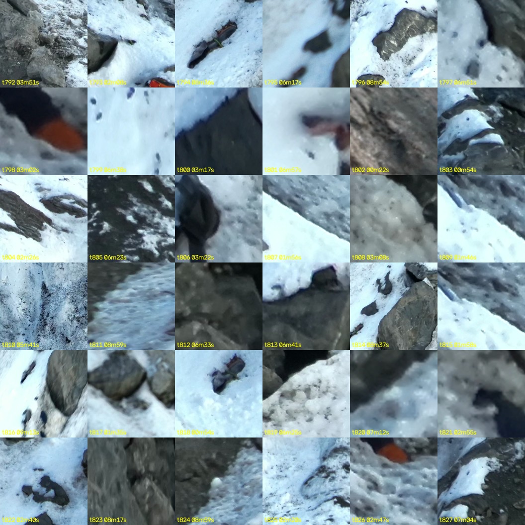 montage_22.jpg