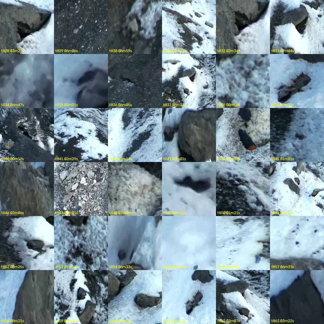 montage_23.jpg