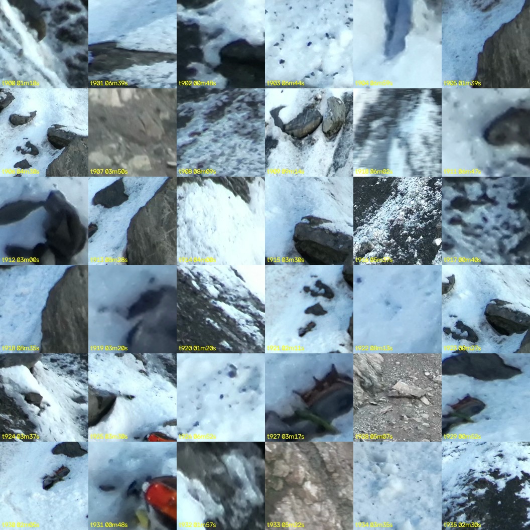 montage_25.jpg