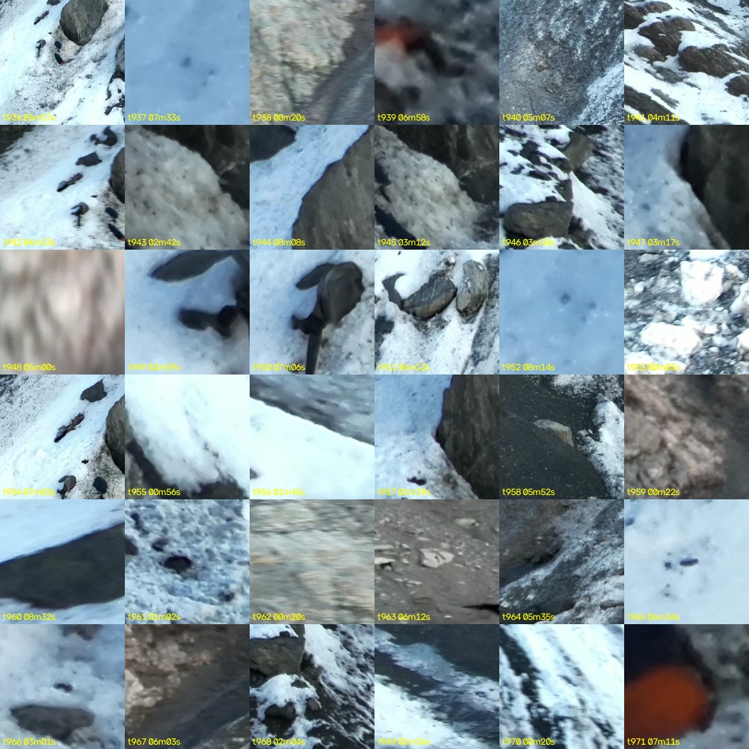 montage_26.jpg