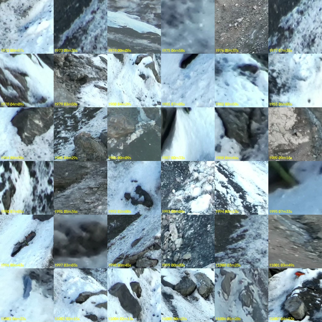 montage_27.jpg