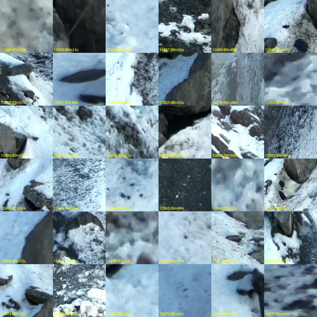 montage_29.jpg