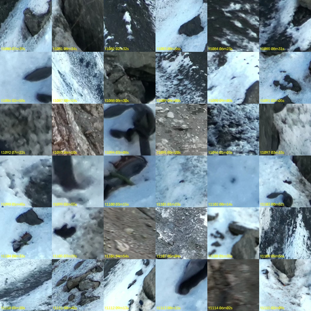 montage_30.jpg