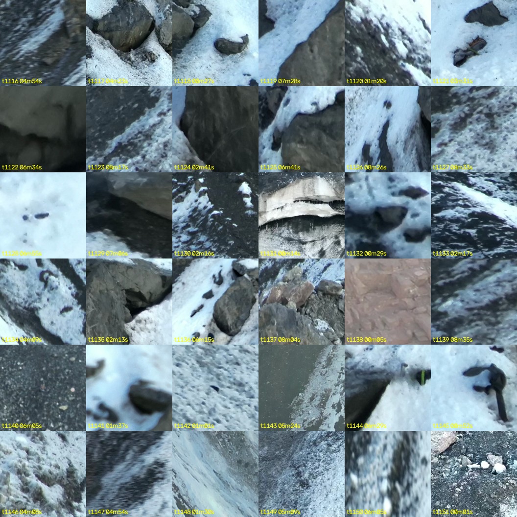 montage_31.jpg