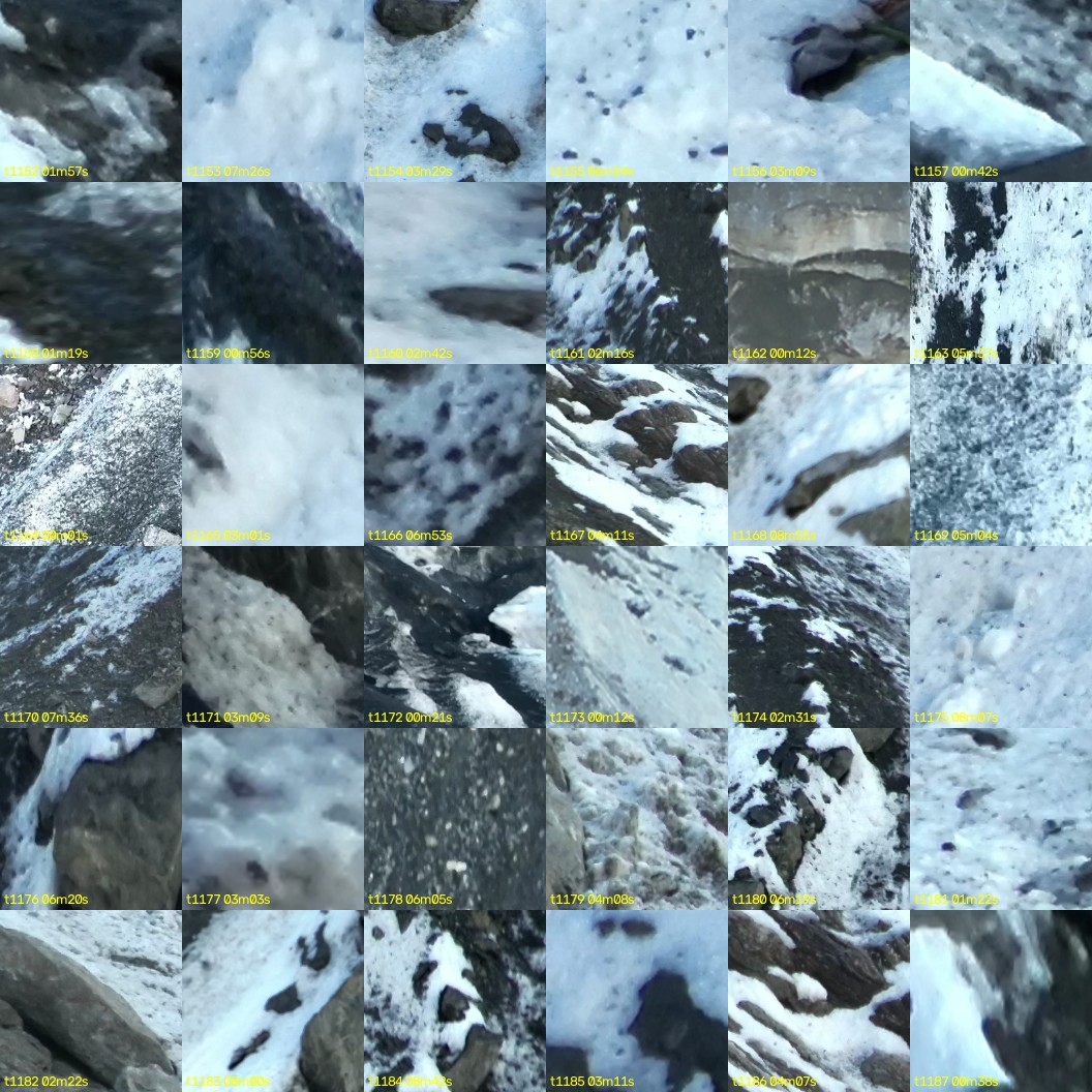 montage_32.jpg