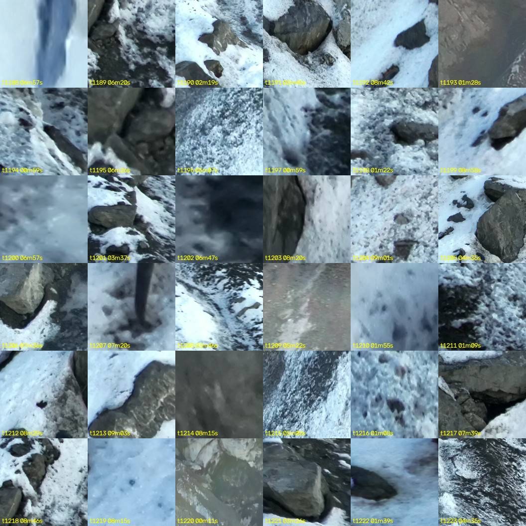 montage_33.jpg